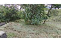 Lotes, Venta, Pance - $900.000.000