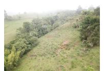 Fincas y Casas Campestres, Venta, Dagua - $800.000.000