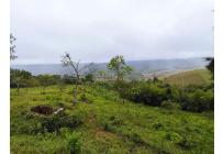 Fincas y Casas Campestres, Venta, Dagua - $800.000.000