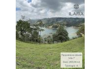 Lotes, Venta, Calima (Darién) - $450.000.000