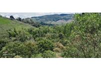 Lotes, Venta, Calima (Darién) - $220.000.000