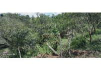 Lotes, Venta, Calima (Darién) - $220.000.000