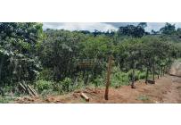 Lotes, Venta, Calima (Darién) - $220.000.000