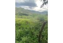 Lotes, Venta, La Campiña - $21.600.000.000