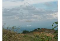 Fincas y Casas Campestres, Venta, Guacarí - $450.000.000