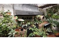 Casas, Venta, Prados del Norte - $600.000.000