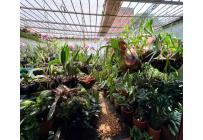 Casas, Venta, Camino Real - $700.000.000