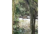 Lotes, Venta, Pance - $2.137.000.000