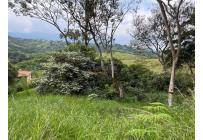 Lotes, Venta, Jamundí - $195.000.000