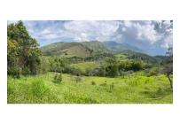 Lotes, Venta, Pance - $540.000.000