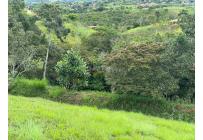 Lotes, Venta, Dagua - $155.000.000