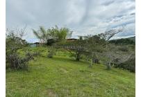 Lotes, Venta, Dagua - $155.000.000