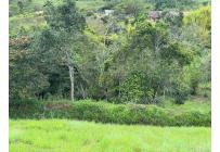 Lotes, Venta, Dagua - $155.000.000