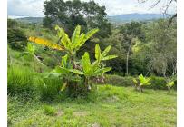 Lotes, Venta, Dagua - $155.000.000