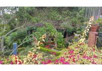 Fincas y Casas Campestres, Venta, Dagua - $1.100.000.000