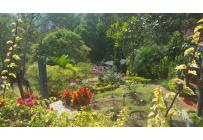 Fincas y Casas Campestres, Venta, Dagua - $1.100.000.000