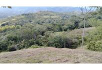 Lotes, Venta, Pance - $900.000.000