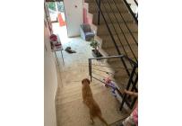 Casas, Venta, Champagñat - $400.000.000