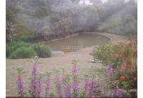 Fincas y Casas Campestres, Alquiler, Dagua - $3.800.000