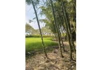 Lotes, Venta, Palmira - $521.000.000