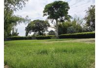 Lotes, Venta, Palmira - $521.000.000