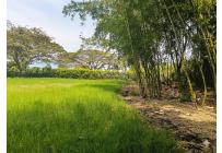 Lotes, Venta, Palmira - $521.000.000