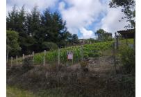 Lotes, Venta, La Cumbre - $365.000.000