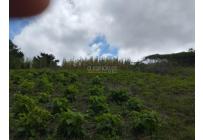 Lotes, Venta, La Cumbre - $365.000.000