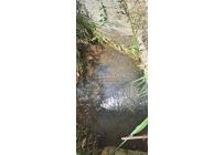 Fincas y Casas Campestres, Venta, Dagua - $450.000.000