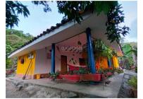 Fincas y Casas Campestres, Venta, Guacarí - $450.000.000