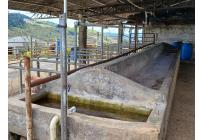 Fincas y Casas Campestres, Venta, Restrepo - $5.000.000.000