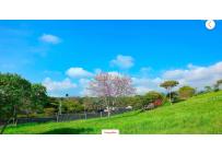 Lotes, Venta, La Riverita - $1.750.000.000