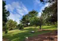 Fincas y Casas Campestres, Venta, Dagua - $1.200.000.000.000