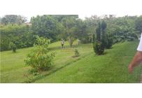 Fincas y Casas Campestres, Venta, El Cerrito - $1.850.000.000