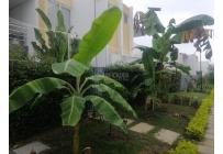 Casas, Venta, Jamundí - $670.000.000