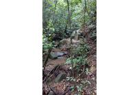 Lotes, Venta, Pance - $2.300.000.000