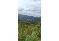 Lotes, Venta, Pance - $2.300.000.000