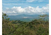 Fincas y Casas Campestres, Venta, Guacarí - $450.000.000