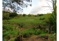 Fincas y Casas Campestres, Venta, Guacarí - $450.000.000