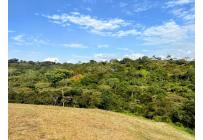 Lotes, Venta, Pance - $1.200.000.000