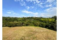 Lotes, Venta, Pance - $1.200.000.000