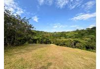 Lotes, Venta, Pance - $1.200.000.000