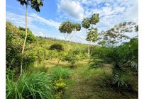 Lotes, Venta, Pance - $1.200.000.000