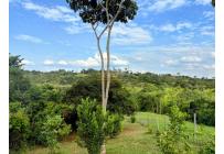 Lotes, Venta, Pance - $1.200.000.000