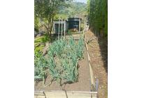 Fincas y Casas Campestres, Venta, Calima (Darién) - $1.270.000.000