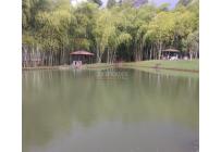 Lotes, Venta, Jamundí - $215.000.000