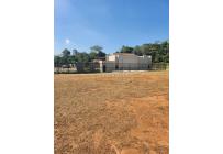 Lotes, Venta, Pance - $1.250.000.000