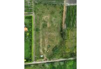 Lotes, Venta, Palmira - $274.000.000