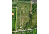 Lotes, Venta, Palmira - $850.000.000