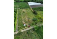 Lotes, Venta, Palmira - $850.000.000